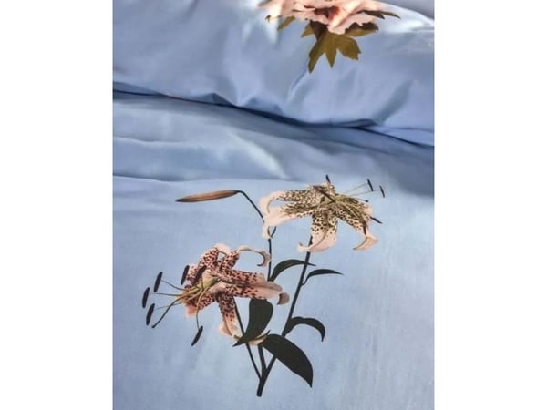 Essenza Annebella Zen blue  140x220+60x63