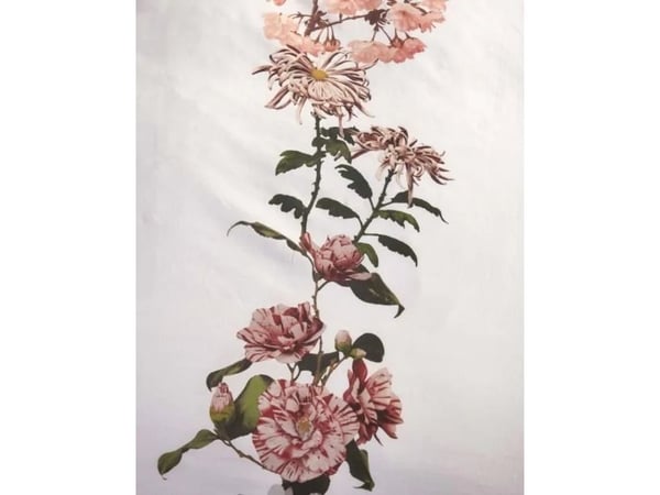 Dorena Valkoinen 140x220+60x63