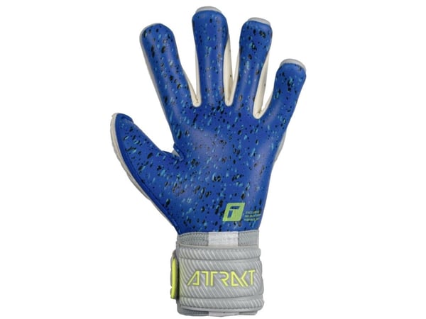 Reusch Attrakt Fusion Guardian