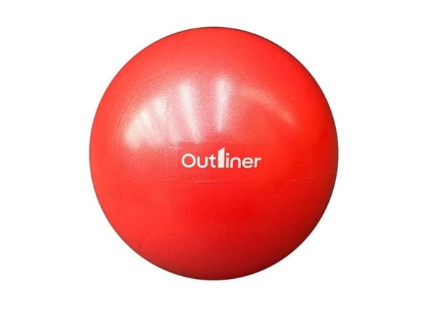 MINI GYM BALL PVC LS3225 25 cm