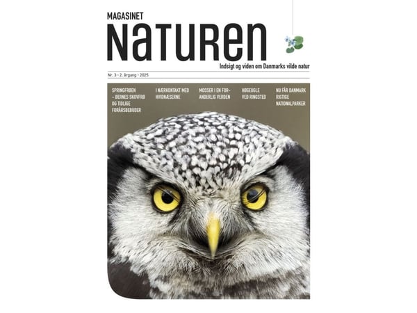 Naturmagasinet nr. 3 - 2025 | Morten Top og Klavs Holm | Språk: Dansk