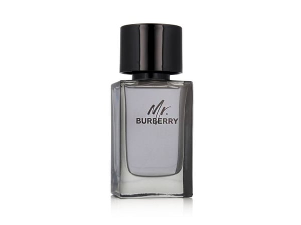 Burberry Mr. Burberry EDT M 100 ml