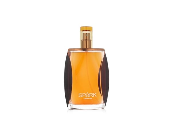Liz Claiborne Spark for Men eau de cologne 100 ml (mann)