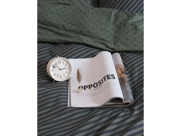 Essenza Covers & Co Essenza No Stripes  No Glory Green 200x220
