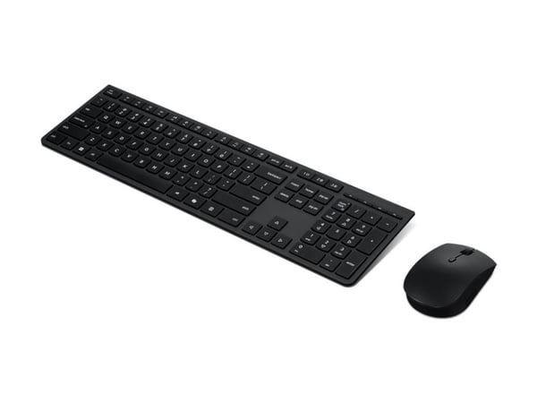 Lenovo Professional - Sats med tangentbord och mus - full size - trådlös - Bluetooth, 2.4 GHz - QWERTY - Nordisk - grå - brun låda