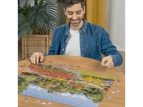 Ravensburger 12000852, 1000 styck, Liggande, 14 År
