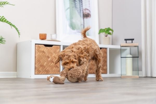 TRIXIE Vulture Gustav Dog Toy, Hund, Plysjleke, Brun, Stoff, Plysh, 240 mm