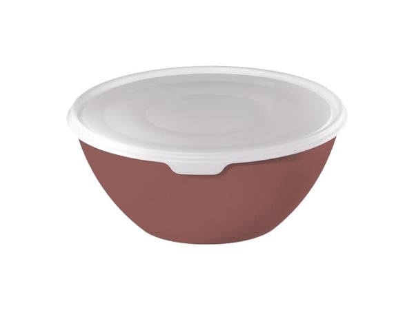 Rotho Bowl With Lid 8L Caruba