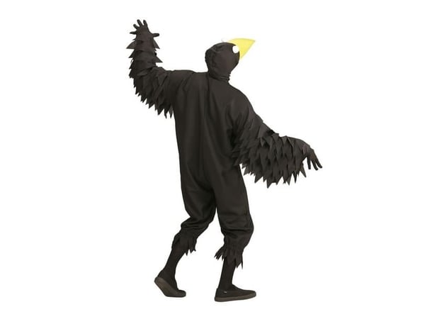 Kråka maskeradkostym