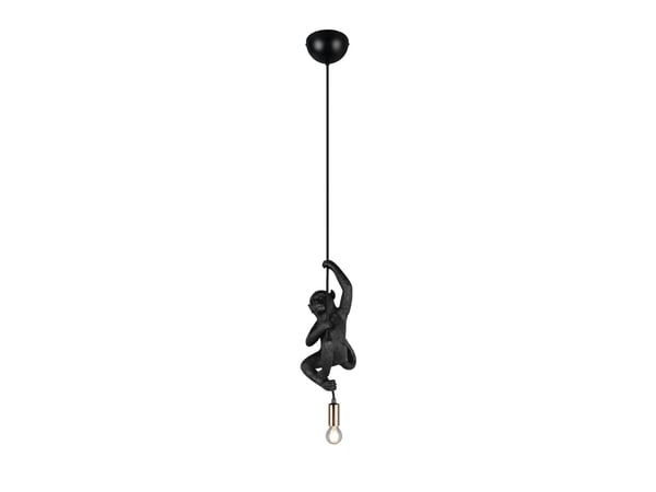 Tak-/hänglampa Trio R36551002, E14