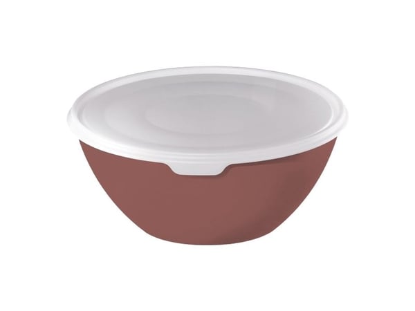 Rotho Bowl With Lid 8L Caruba