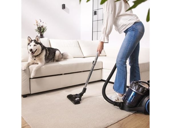 Cecotec 08592, 800 W, Trommelvakuum, Tørr, Uten pose, 4 l, Multi-syklonisk