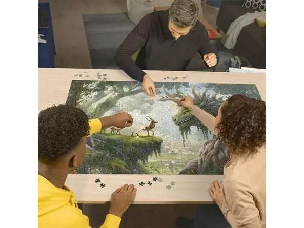 Ravensburger 12000808, 3000 stykker, Fantasi, 14 år
