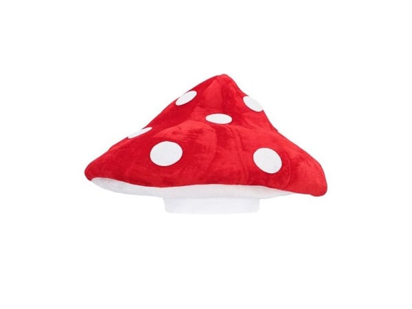 Flugsvampens hatt