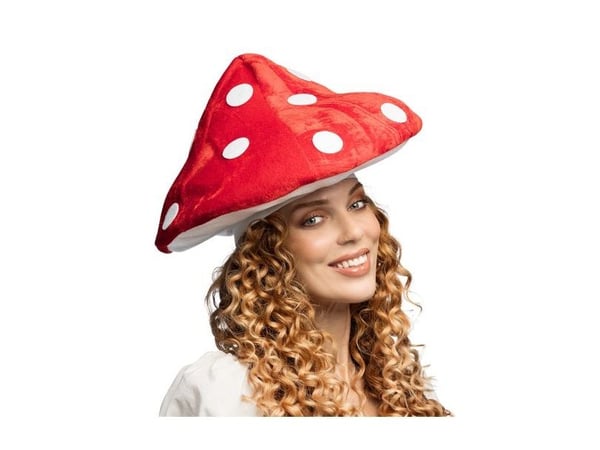 Flugsvampens hatt