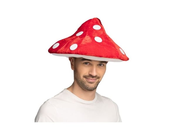 Flugsvampens hatt
