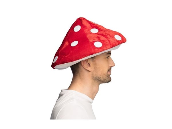 Flugsvampens hatt