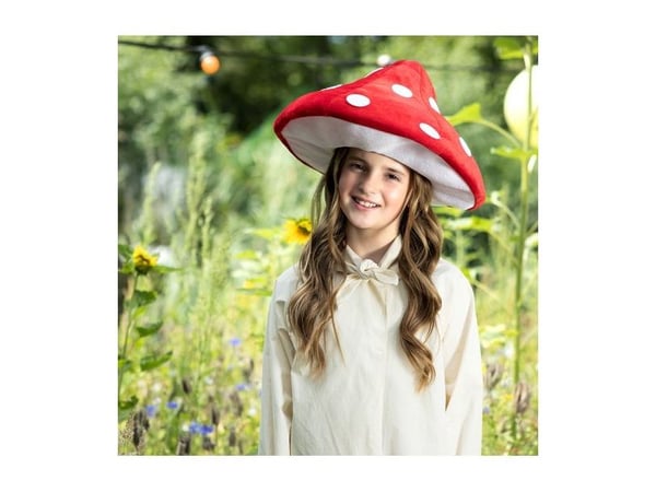 Flugsvampens hatt