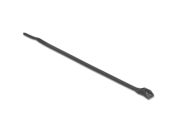 Delock kaapelinsiteet litteäpää L 205 x W 2,5 mm 100 kpl musta