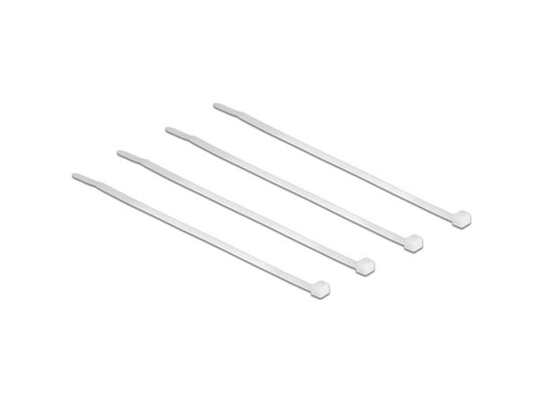 DeLOCK 18605, Nailon, 100 mm, 2,5 mm, 100 kpl