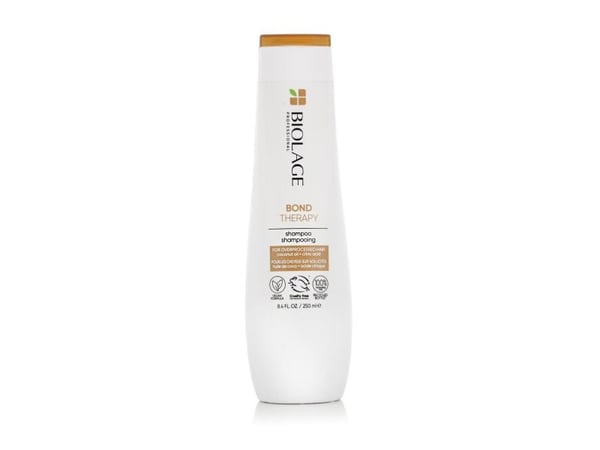 SYOSS_Anti-Dandruff Shampoo anti-dandruff shampoo 440ml