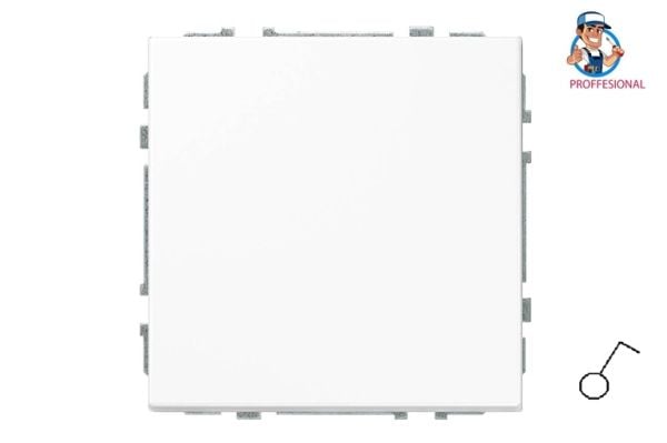 Liregus switch IJ1.10-203-01.M/WM modern vit