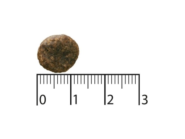 Bozita 9117385, Voksen, Alle hunderaser, Lam, 11 kg