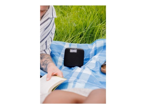 Pure Woodland Mini - Høyttaler - for bærbar bruk - trådløs - Bluetooth - 5 watt - svart