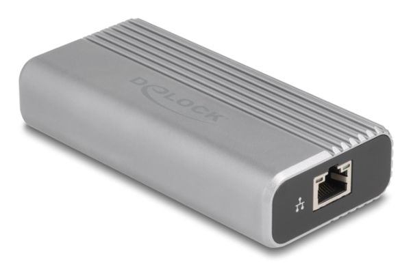 Delock - Nettverksadapter - USB4 / Thunderbolt 4 - 1/2.5/5/10GBase-T - sølv, antrasitt