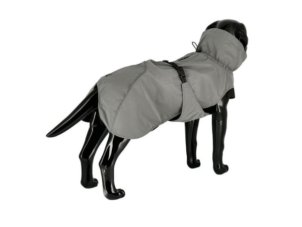 Övriga Skyltdocka Hund Labrador