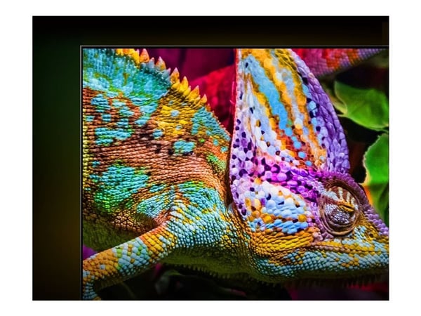 Hisense 55E77Q PRO - 55" Diagonalklasse E7Q PRO Series LED-bakgrunnsbelyst LCD TV - QLED - Smart TV - 4K UHD (2160p) 3840 x 2160 - HDR - direktebel...