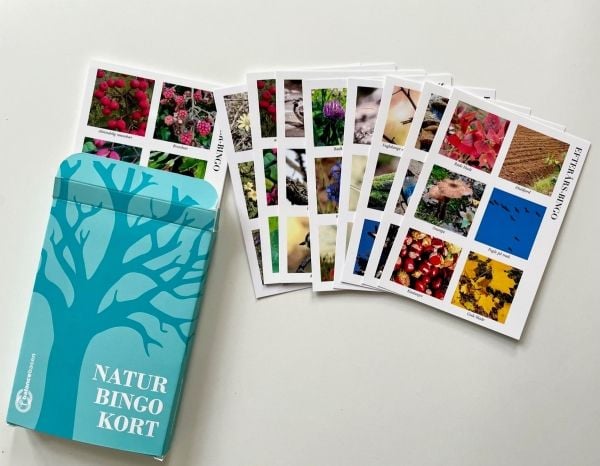 Natur bingo-kort | Hanne Sonne Poulsen