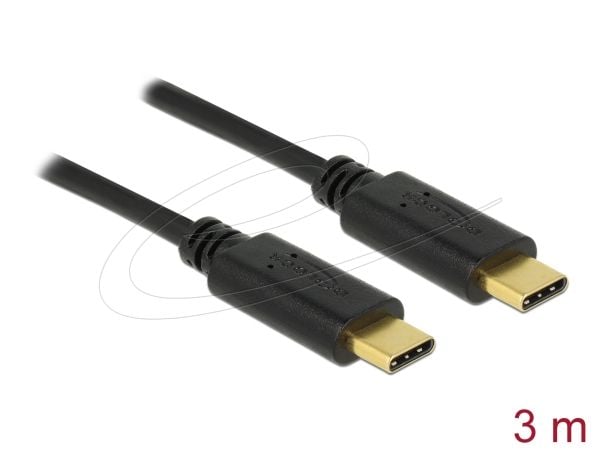 Delock - USB-kabel - USB-C (hann) til USB-C (hann) - USB 2.0 - 3 A - 3 m - svart