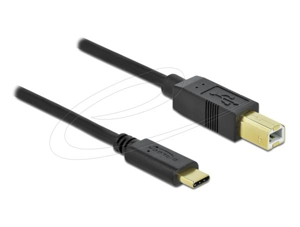 Delock - USB-kabel - USB-C (hann) til USB-type B (hann) - USB 2.0 - 3 A - 2 m - svart