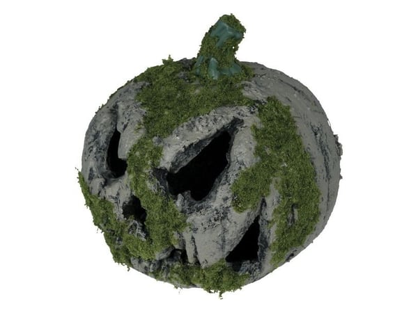 Pumpa med mossa, 20 cm