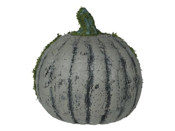 Pumpa med mossa, 20 cm