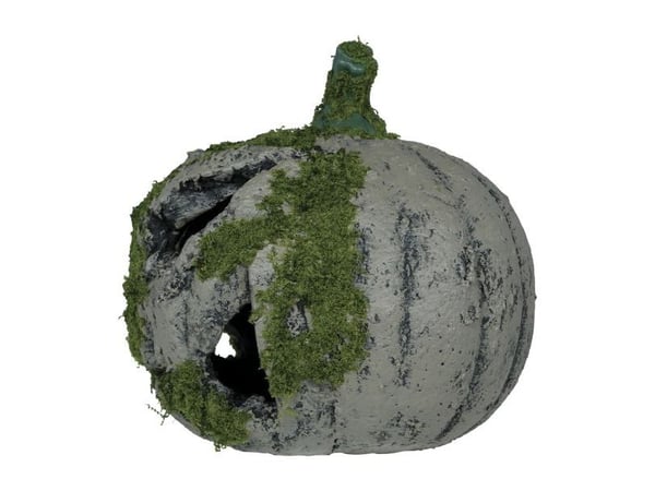 Pumpa med mossa, 20 cm