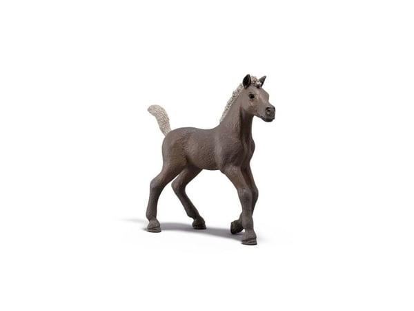 Schleich samlarföl Darcy