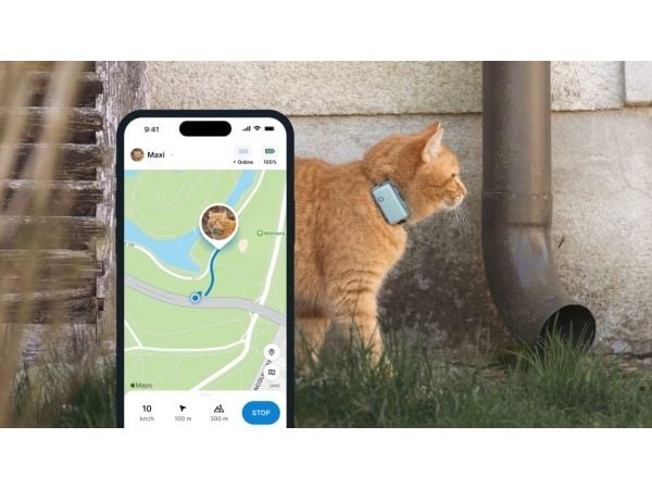 Tractive TRCAT5MT, Mynte, Android, iOS, 55 mm, 17 mm, 28 mm, 25 g
