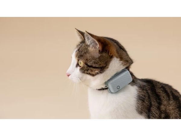 Tractive TRCAT5MT, Mynte, Android, iOS, 55 mm, 17 mm, 28 mm, 25 g
