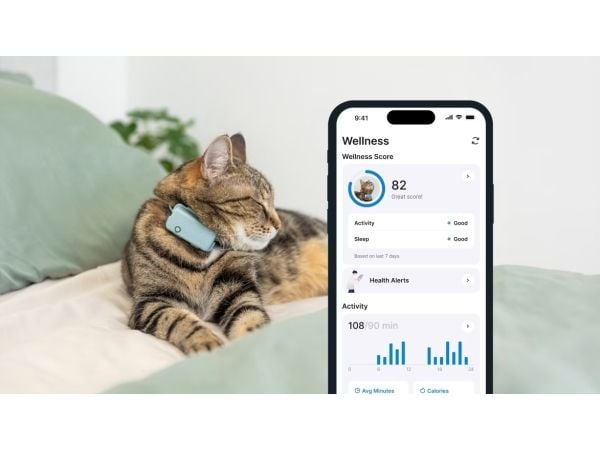 Tractive TRCAT5MT, Mynte, Android, iOS, 55 mm, 17 mm, 28 mm, 25 g