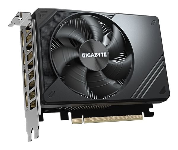 Gigabyte D6 - Grafikkort - GeForce RTX 5050 - 8 GB GDDR6 - PCI Express 5.0 - 2 x DisplayPort, 2 x HDMI