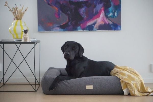 Shiro & Malou Box Bed Hundbädd Mörkgrå 80cm