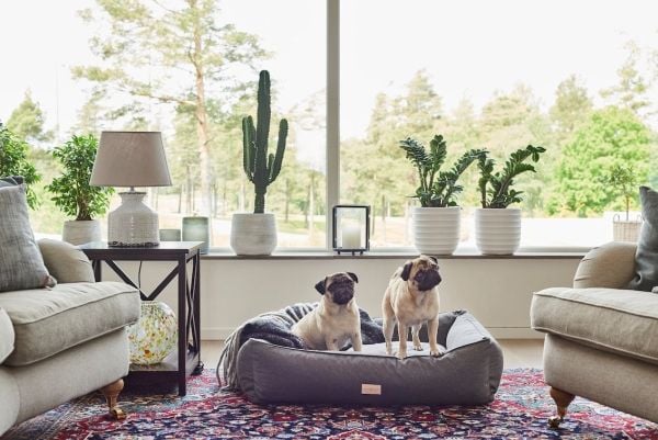 Shiro & Malou Cozy Corner koiran sänky Tummanharmaa L 120cm