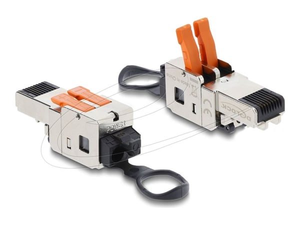 Delock - Nettverkkontakt - RJ-45 (hann) lås
