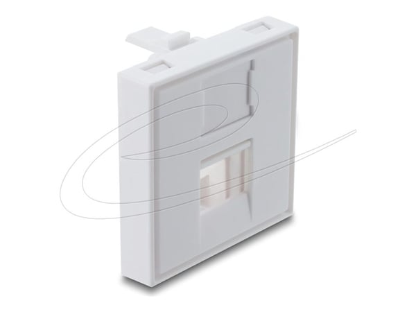 Delock - Easy 45 - kjernemodulholder - with dust cap, 45 x 45 mm - 1 modul - hvit