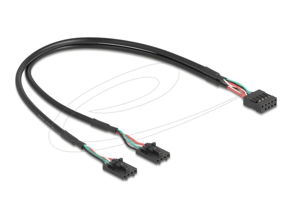Delock-kabel USB 2.0 hunnkontakt 2,54 mm 10-pinners til 2 x USB 2.0 hunnkontakt 2,54 mm 4-pinners 30 cm