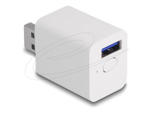 Delock - Smartsvitsj - WLAN, EASY-USB - trådløs - 802.11b/g/n - 2.4 Ghz - hvit