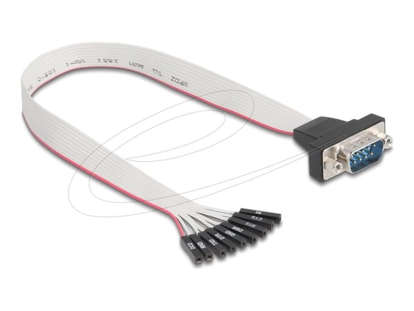 Delock - Seriell kabel - 9-stifts seriell kontakt (hona) till DB-9 (hane) - 30 cm - stödjer RS-232 seriellt gränssnitt, platt ribbon - grå