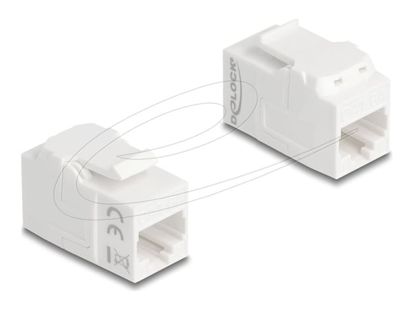 Delock - Nettverkkopler - RJ-45 (hunn) til RJ-45 (hunn) - UTP - CAT 6a - hvit